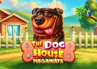 nova345 The Dog House Megaways ทดลองเล่นฟรี